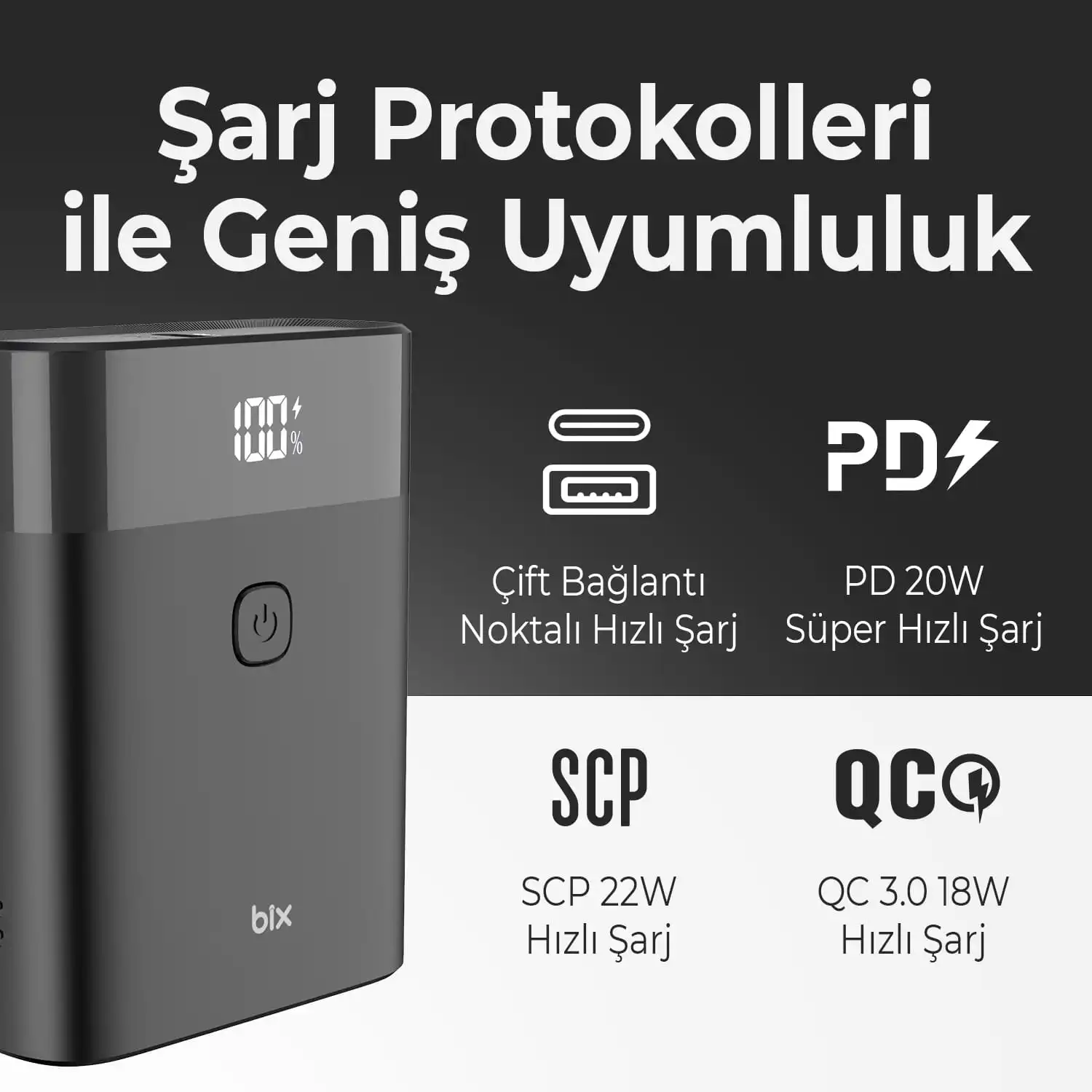 Bix 10000 mAh Powerbank